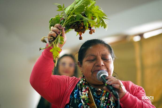 Mayora realiza una armonización con plantas medicinales